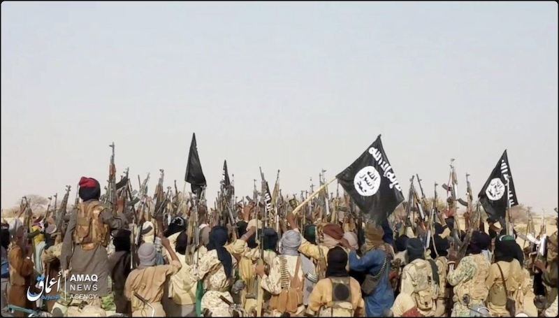L'État islamique en Afrique : une bataille idéologique malgré un affaiblissement opérationnel