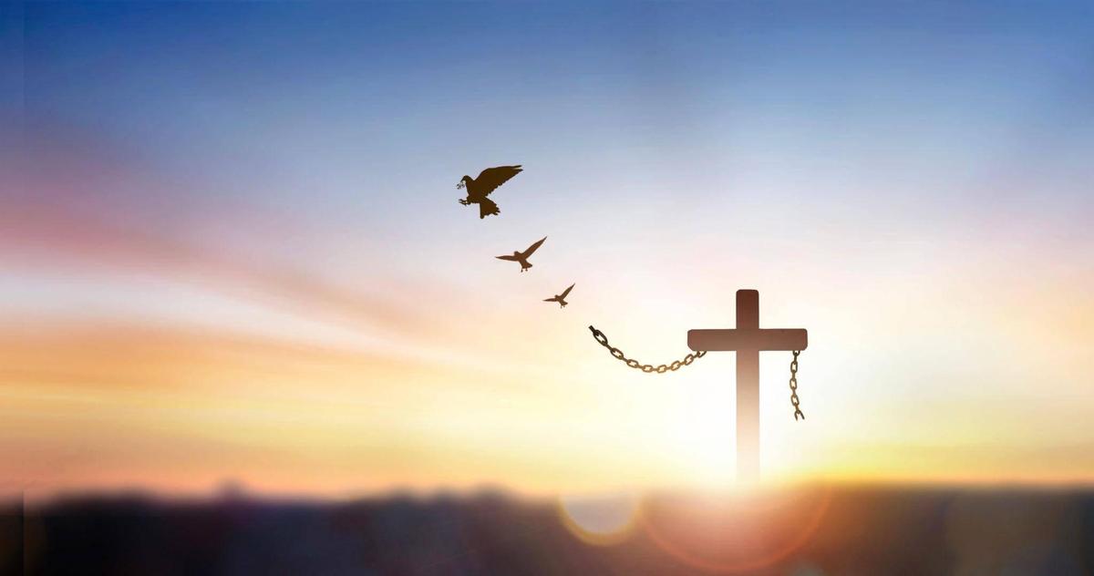 Día 19 - Jesús fue hecho maldición por nosotros 