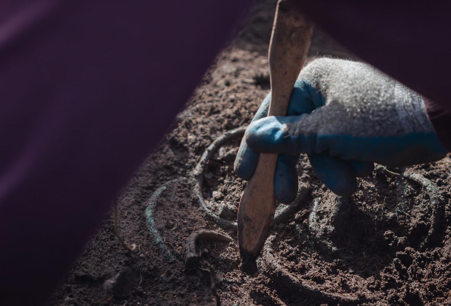 Archaeologists uncover extensive Bronze Age settlement on Hungary’s Somló Hill