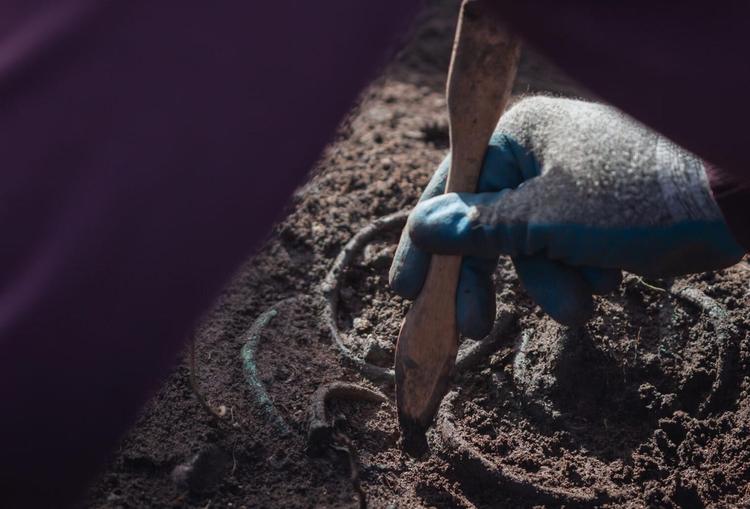 Archaeologists uncover extensive Bronze Age settlement on Hungary’s Somló Hill