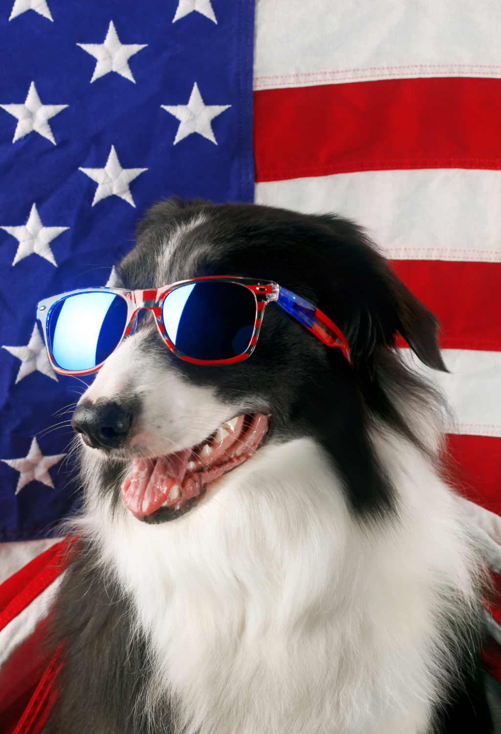 4th of July Safety Guide 
