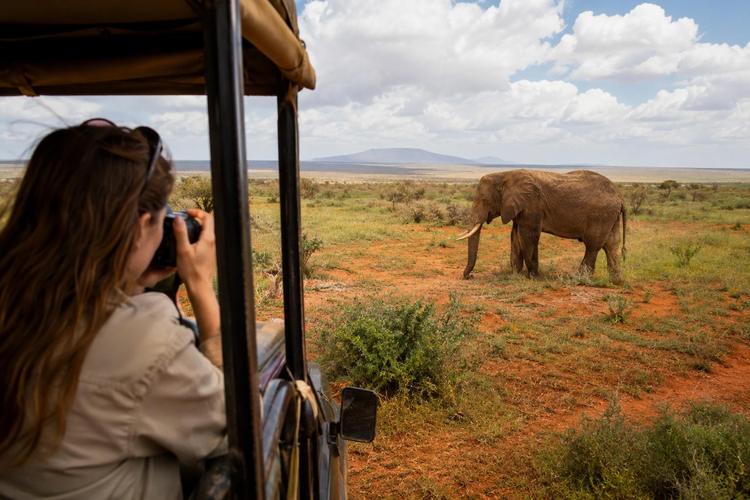 Private Safari 2 Tage Tsavo Ost 