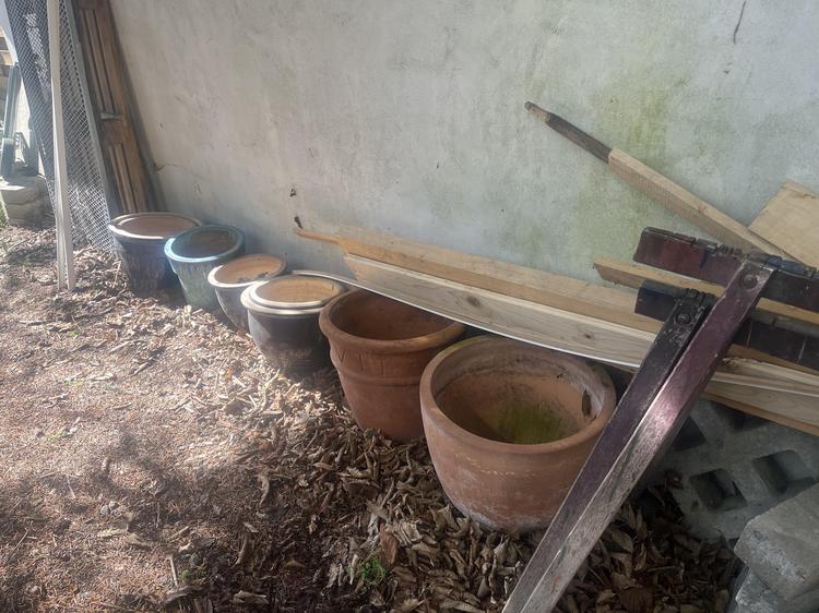 Pflanztöpfe zu verschenken