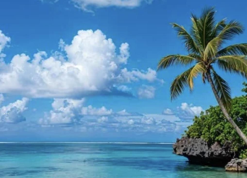 GGVie : cahier de vacances de juillet