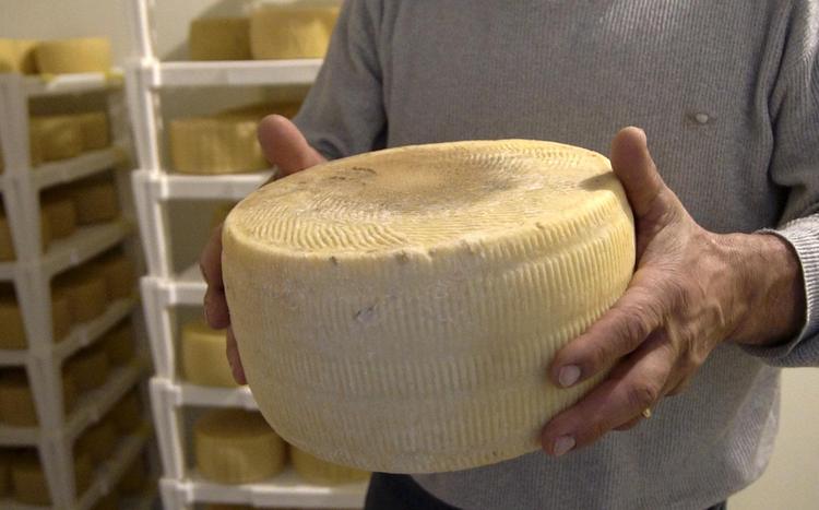 Pecorino cheese (“lu càsu”)