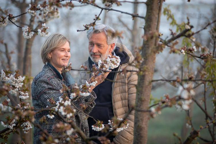 Hoogstam of laagstam fruitbomen 🌸 wat is nu eigenlijk het verschil? 