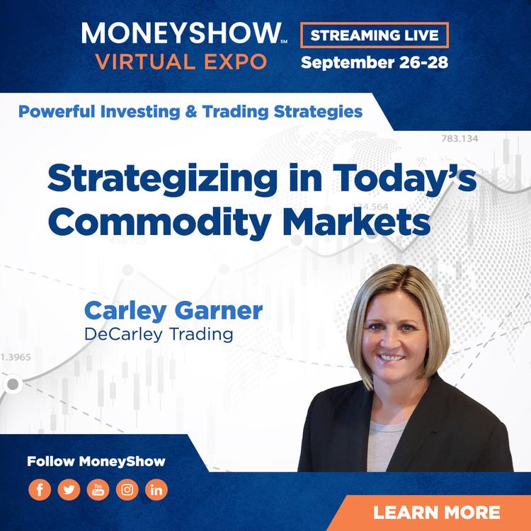 Join us this week at the MoneyShow Virtual Expo!