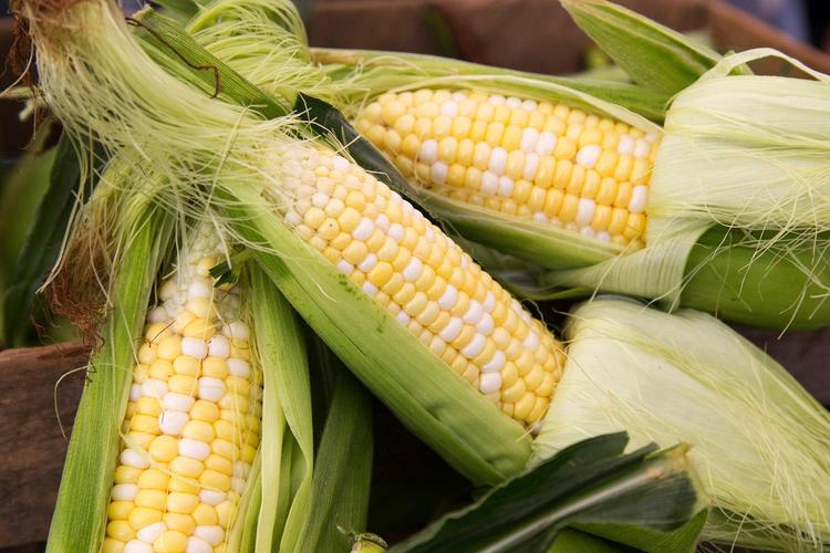 Corn