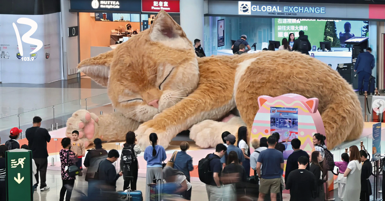 Catzilla, el gato gigante que te recibe en el aeropuerto de Hong Kong