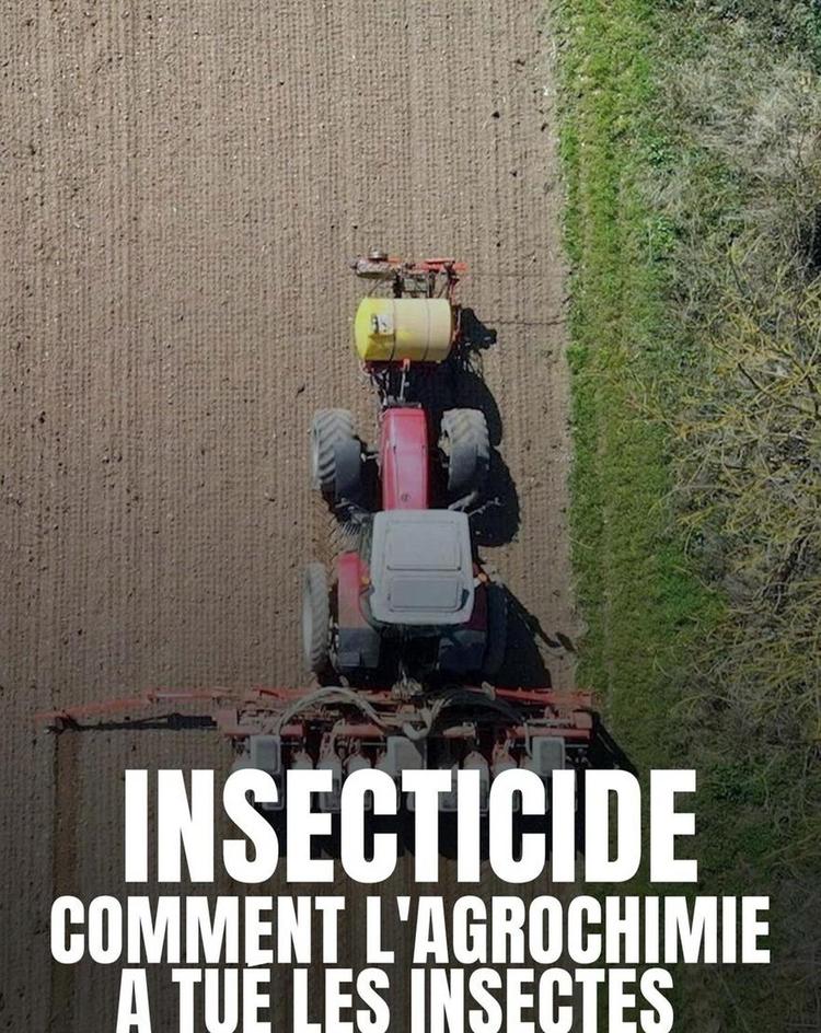 INSECTICIDE, COMMENT L’AGROCHIMIE A TUÉ LES INSECTES