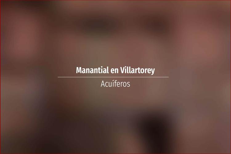 Manantial en Villartorey