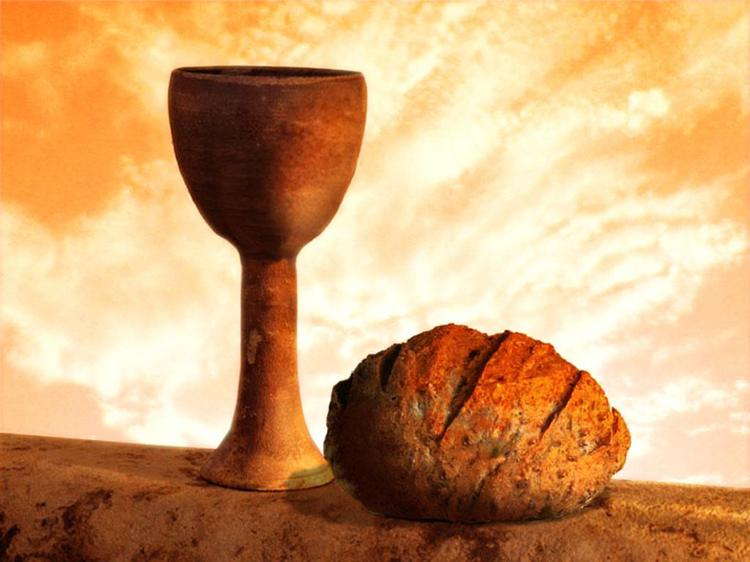 Daily Reflection on the Gospel of Sunday, June 7, 2026
