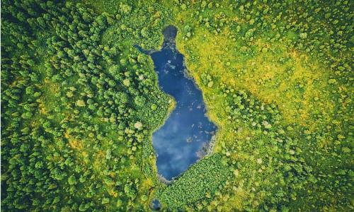 More Than 130,000 Pages of Finnish Forest Industry History Digitised – Historical Publications Now Searchable with AI