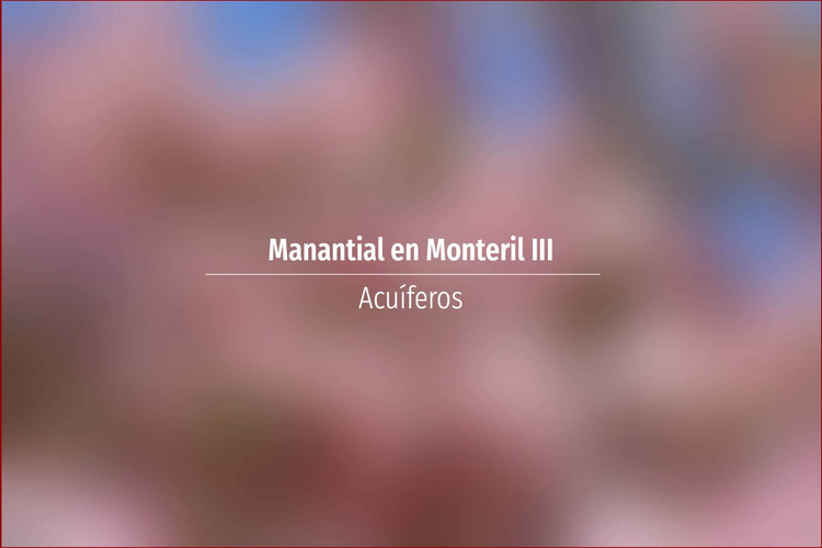 Manantial en Monteril III