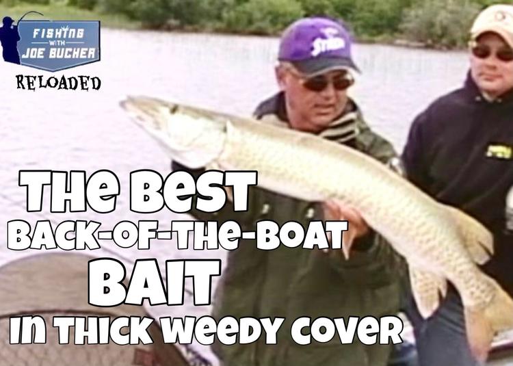 The BEST Back-of-the-Boat Bait In Thick WEEDS
