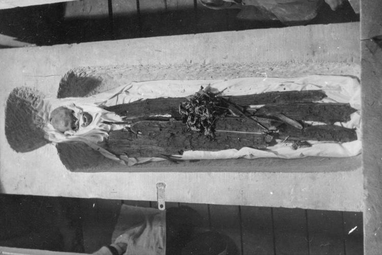 Researchers reveal new findings in the Nazi-era 'King Henry I' skull controversy