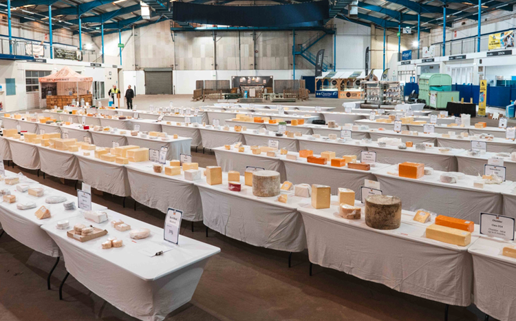 Cork cheese named best in Ireland at industry awards