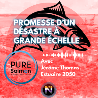 Promesse d'un désastre à grande échelle
