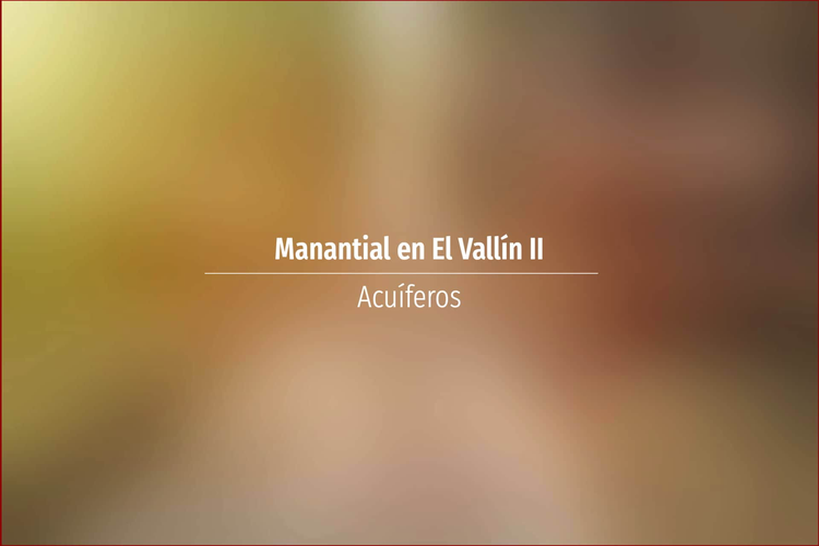 Manantial en El Vallín II