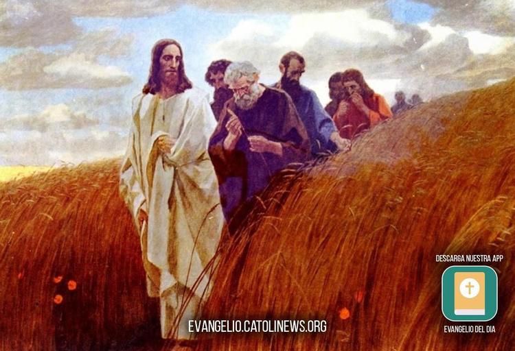 Lecturas del Viernes de la 15ª semana del Tiempo Ordinario