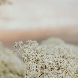 Yoga Nidra 3: é tempo de relaxar e liberar o passado