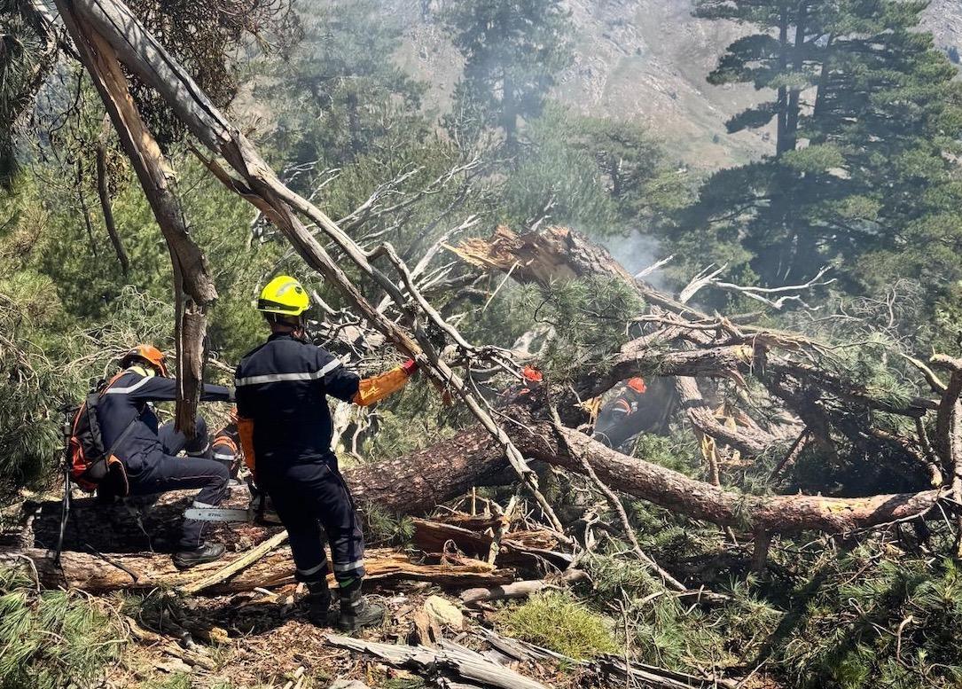 Casamaccioli : face au feu déclenché par la foudre, le remarquable engagement des pompiers commandos