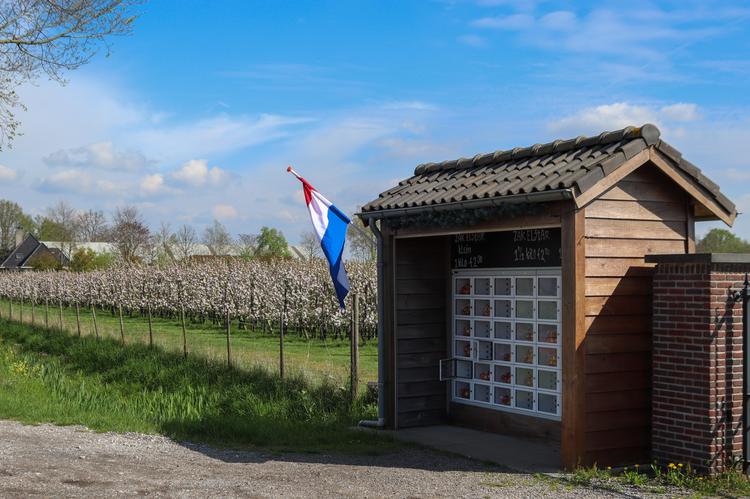 Nog één weekend vol bloesem🍎🌸 