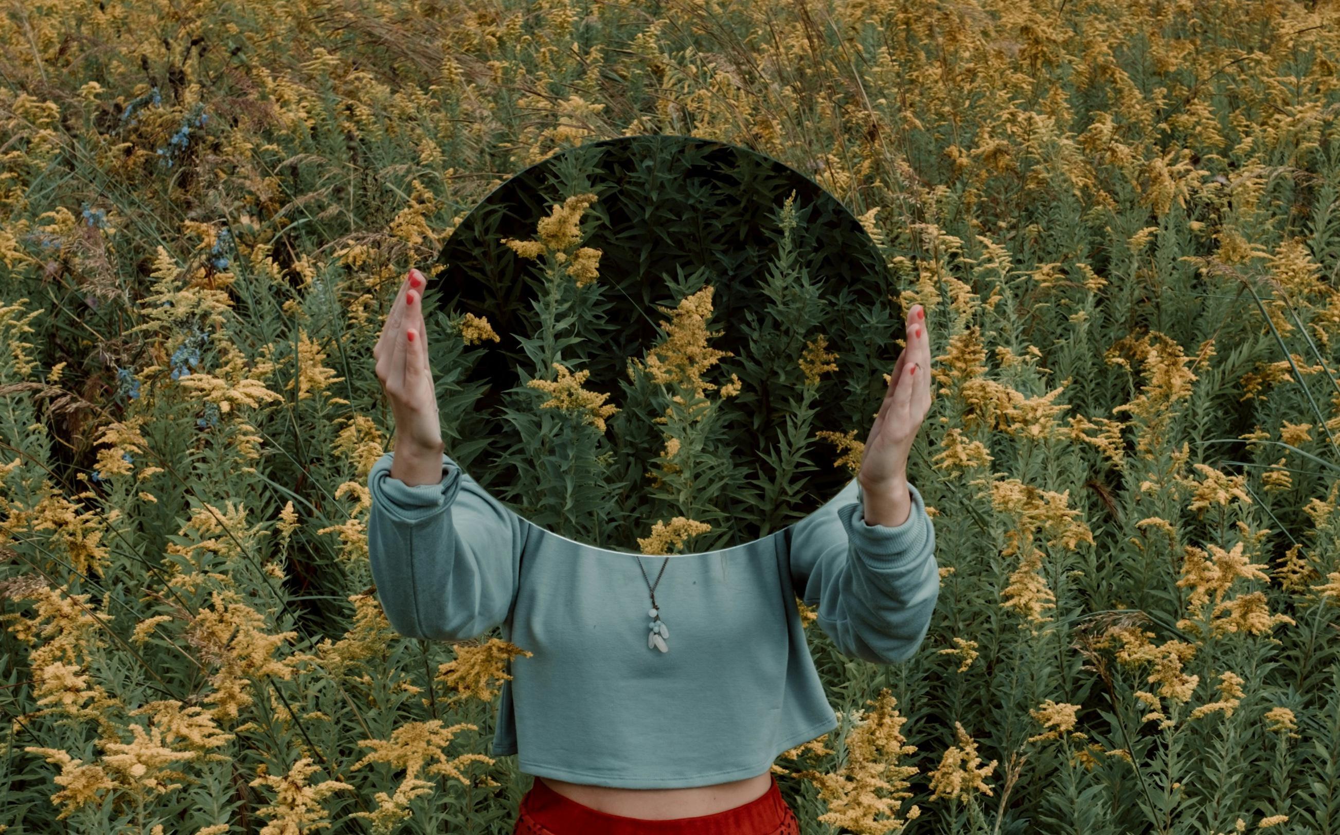 Why Humans Care About Looks: The Psychology of Beauty