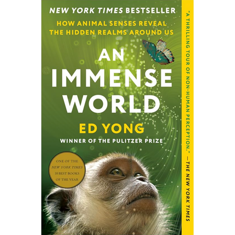 Sampul An Immense World