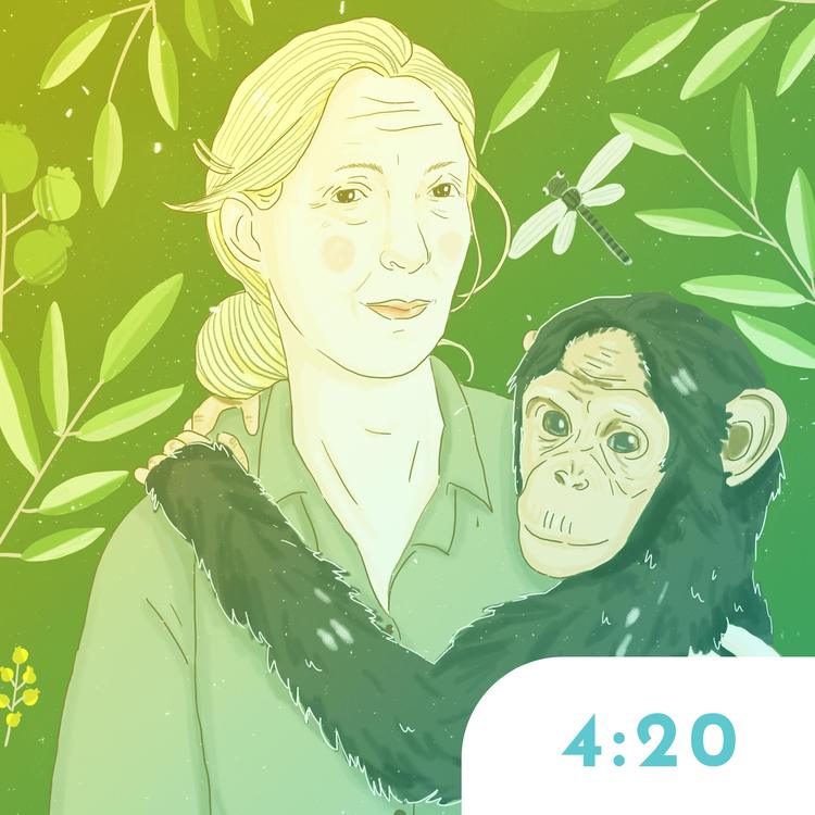 Jane Goodall and the Monkeys