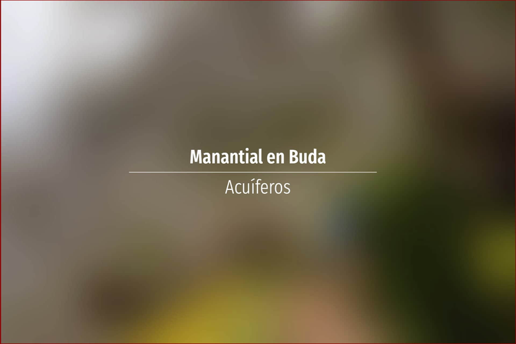 Manantial en Buda