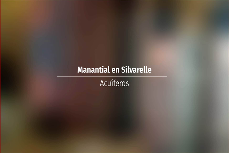 Manantial en Silvarelle