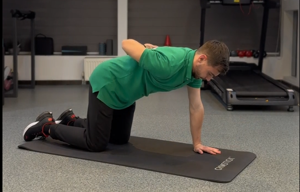 #14 Din patrupedie întindem o mână în față și o ducem la spate (Quadruped arm sweep)