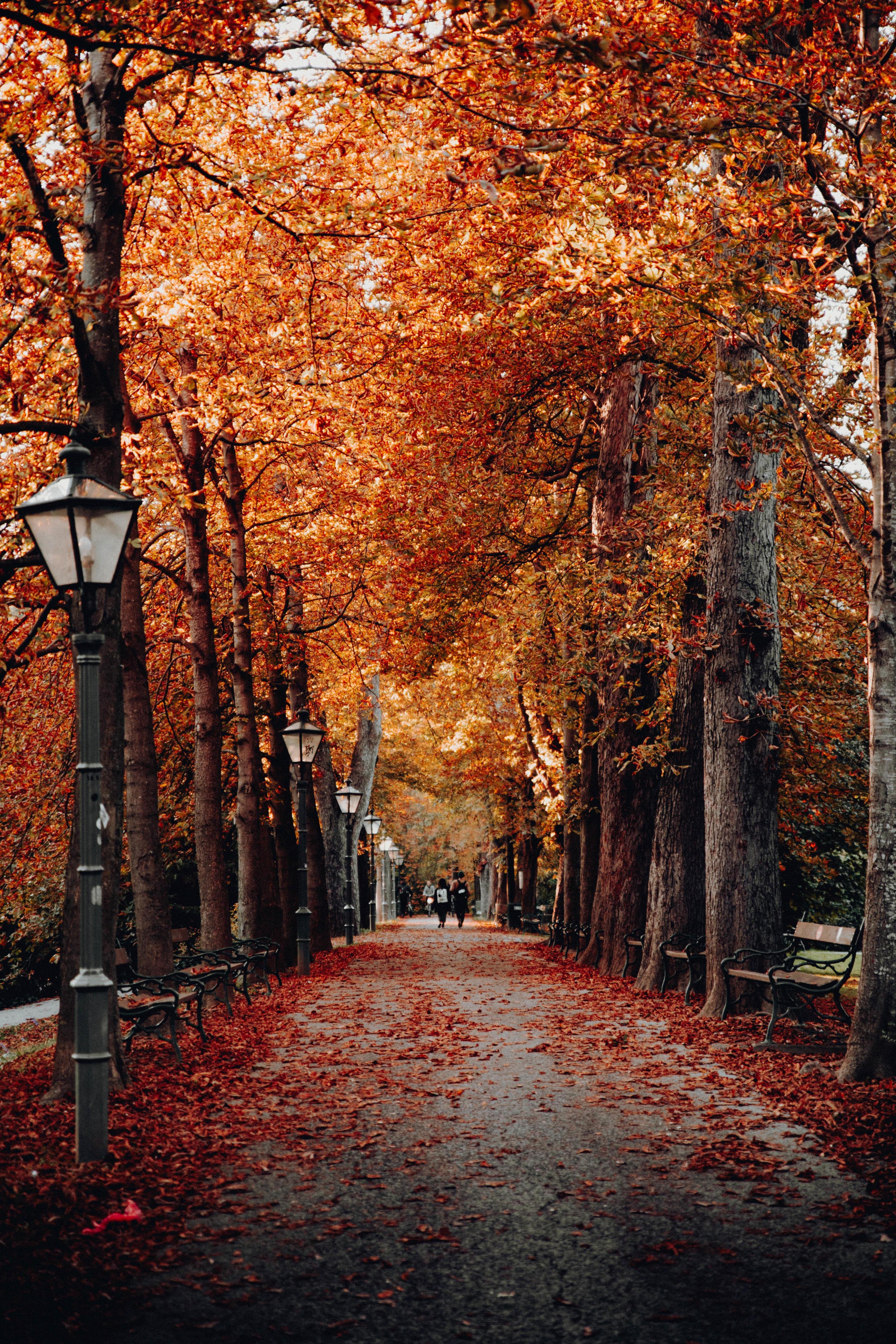 El otoño llega con el equinoccio y cambia el ritmo de la naturaleza