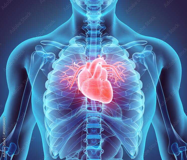 4th Channel Heart to Left Foot Heart Neuroreceptors_