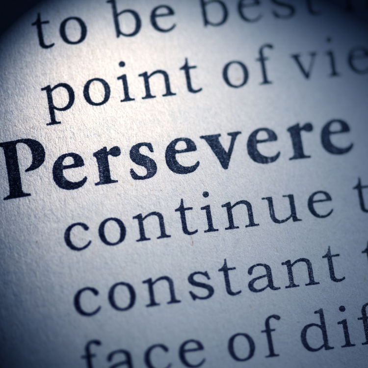 A perseverança na vida do crente