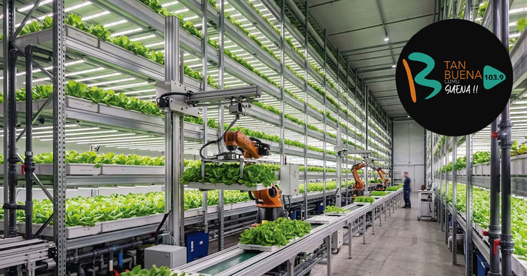 Noruega apuesta por una granja donde los robots cultivan lechugas sin tierra