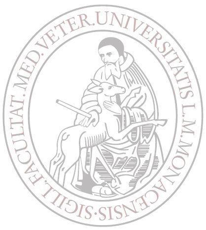 Merch-Verkauf des Alumni-Vereins zum Start des Sommersemesters