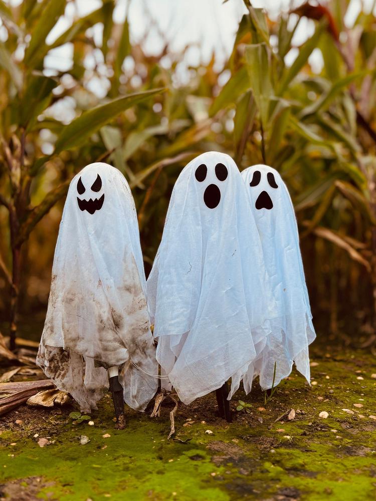 Escape Game Halloweenesque au Château du Taillis !