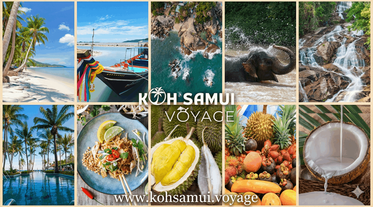 Excursions Koh Samui 2026 : Comment profiter du paradis sans subir la hausse des prix ?