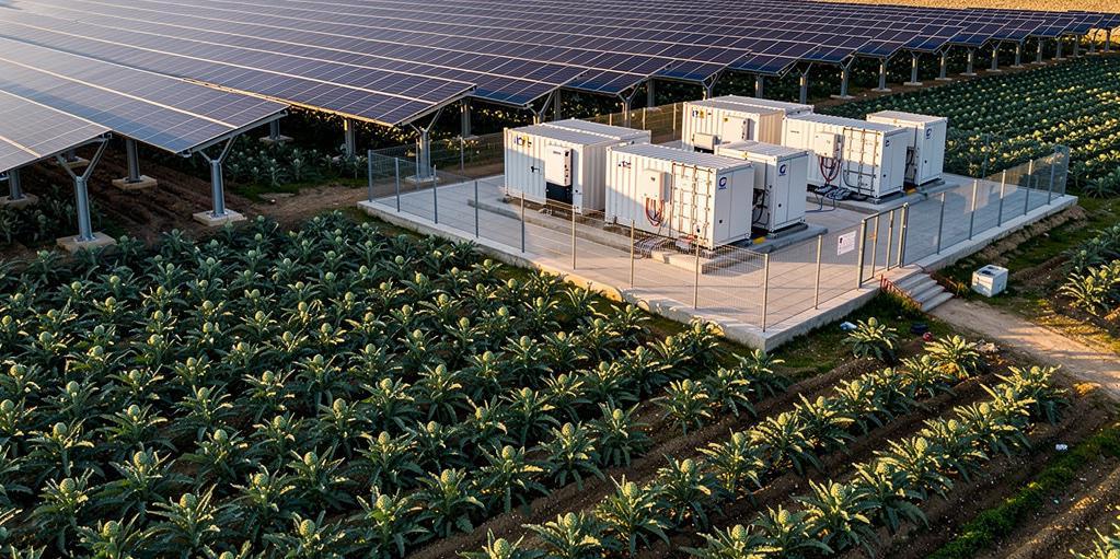 Sole, campo e futuro: l’agrivoltaico arriva in Sicilia e le Canarie non possono restare indietro 
