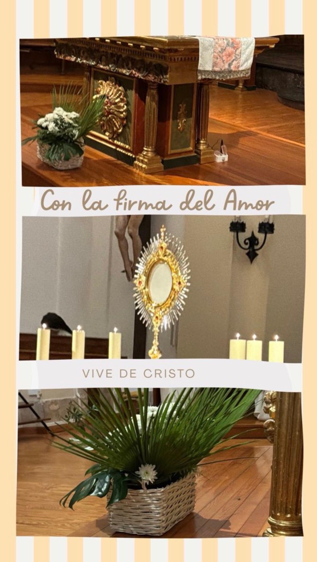 Hoy el reto del amor es que seas “un despistado”, un despistado que vive por y para Jesús