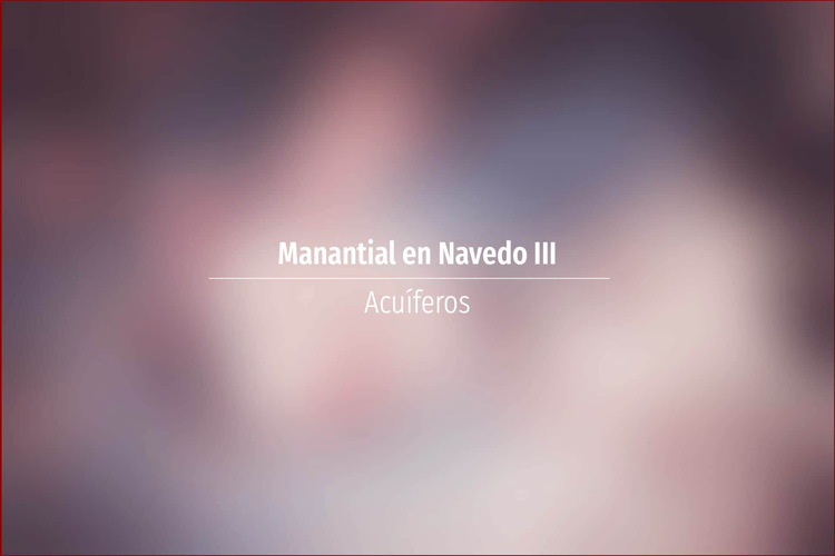 Manantial en Navedo III