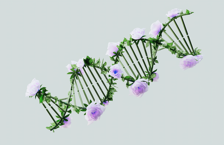 Analisi Pro-Longevity del DNA