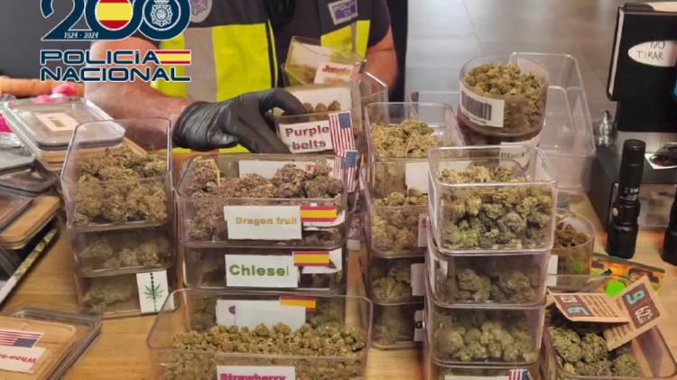 Cierre cautelar de un club cannábico desmantelado en Dénia