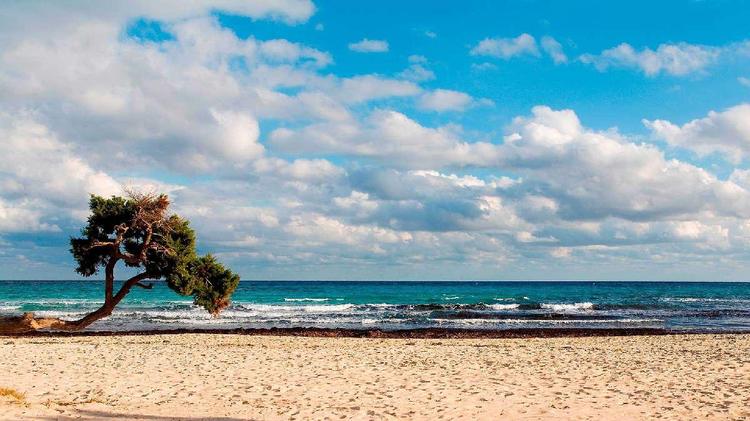 Qué hacer en Menorca: naturaleza virgen, arqueología y Reserva Starlight