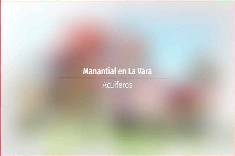 Manantial en La Vara