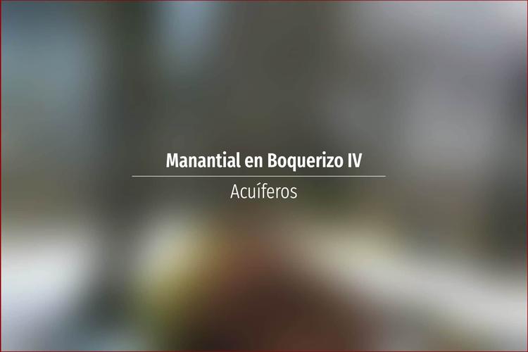 Manantial en Boquerizo IV