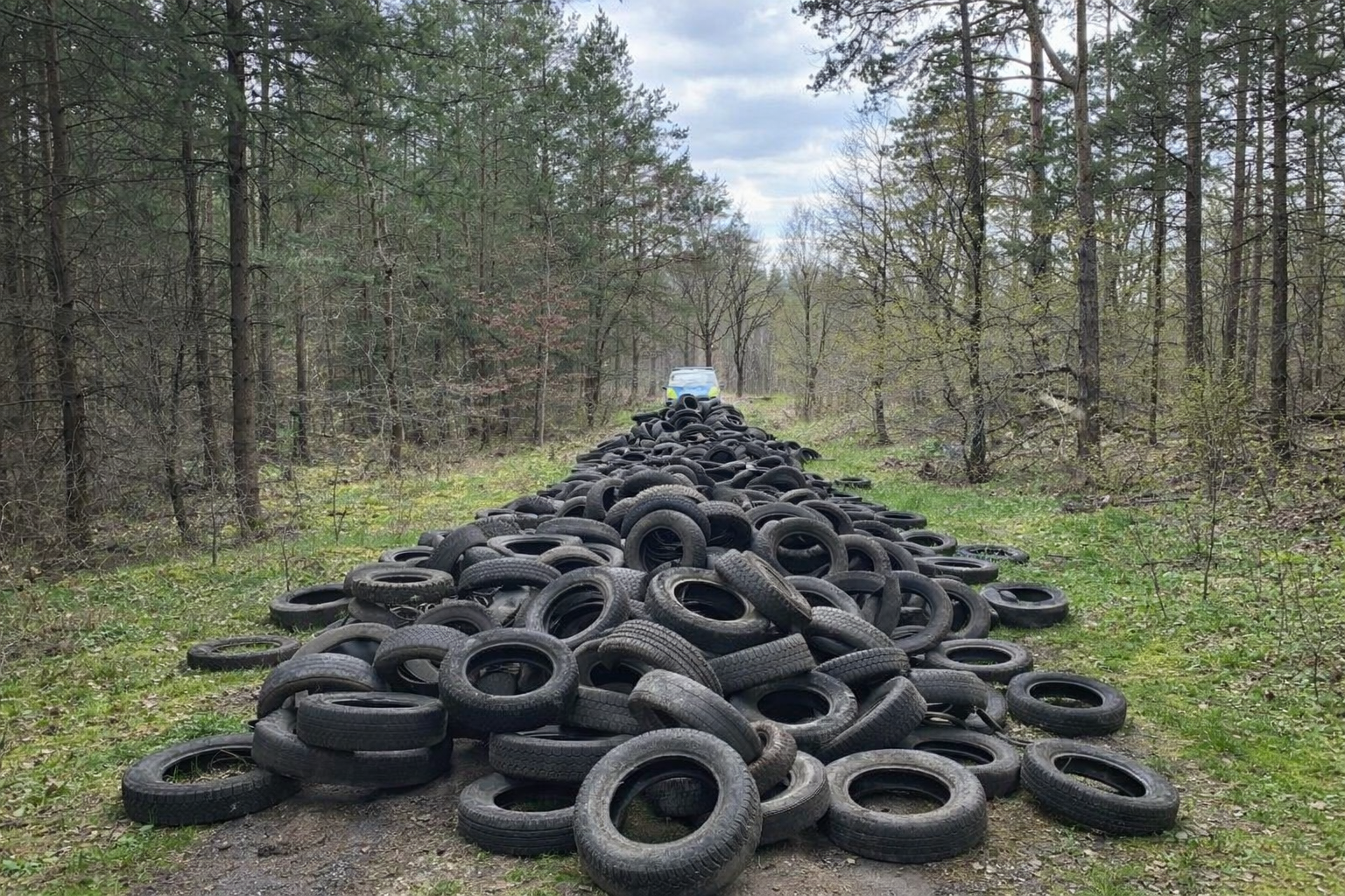 Illegale Müllentsorgung: Rund 300 Altreifen auf Waldweg bei Gilde abgeladen