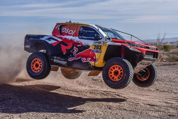 Desafío Ruta 40 › FIA › Clasificación Final